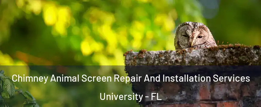  Chimney Animal Screen Repair And Installation Services University - FL