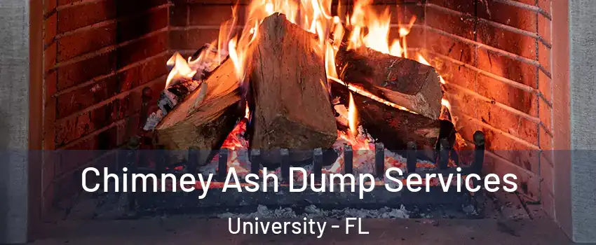  Chimney Ash Dump Services University - FL