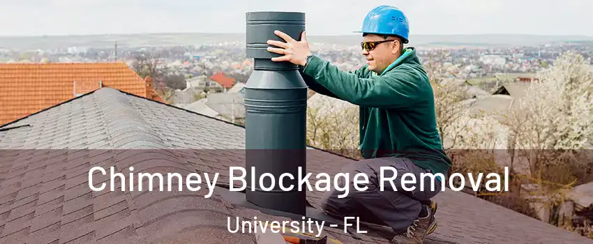 Chimney Blockage Removal University - FL