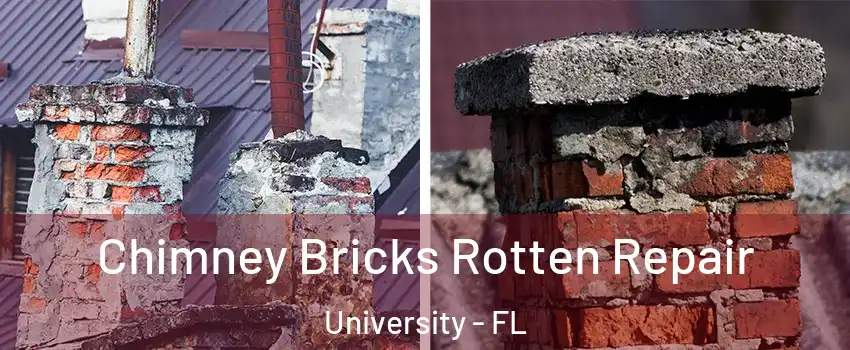  Chimney Bricks Rotten Repair University - FL