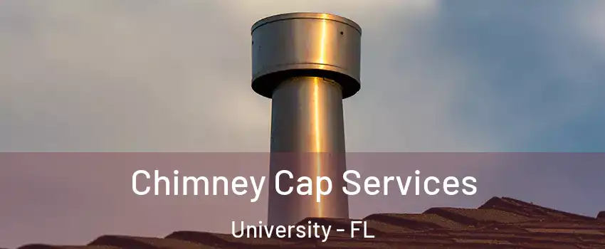  Chimney Cap Services University - FL