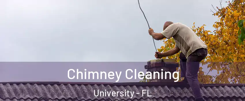  Chimney Cleaning University - FL