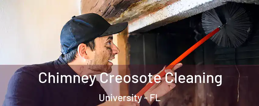  Chimney Creosote Cleaning University - FL