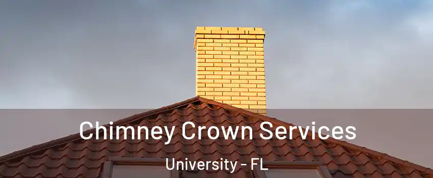 Chimney Crown Services University - FL