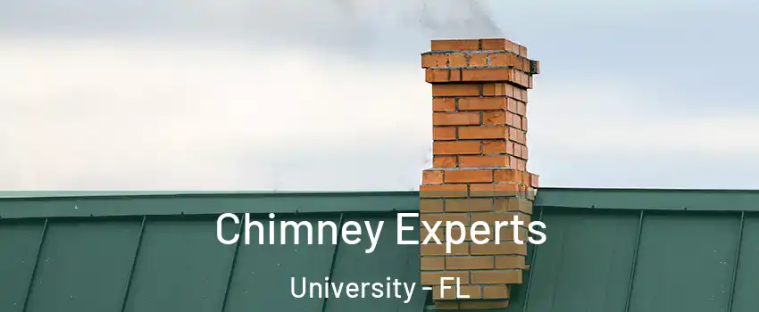 Chimney Experts University - FL