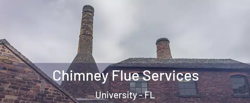  Chimney Flue Services University - FL