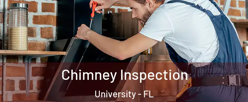  Chimney Inspection University - FL