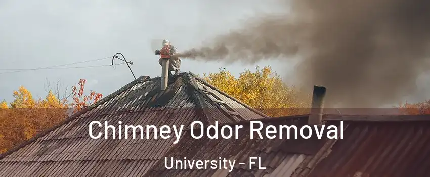  Chimney Odor Removal University - FL