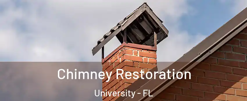  Chimney Restoration University - FL