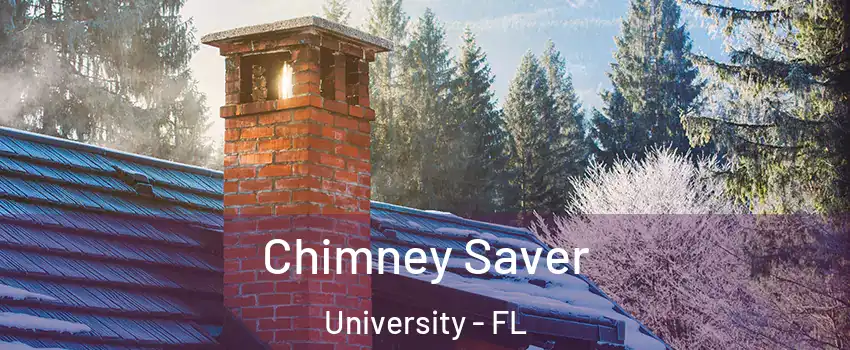  Chimney Saver University - FL