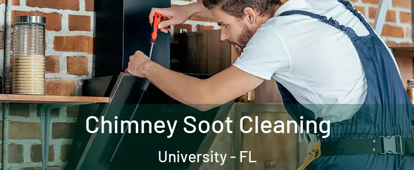  Chimney Soot Cleaning University - FL