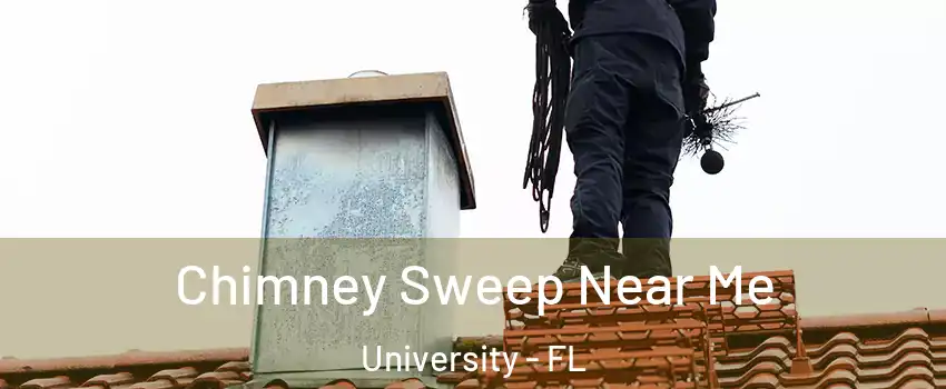  Chimney Sweep Near Me University - FL