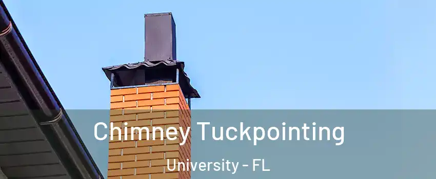  Chimney Tuckpointing University - FL
