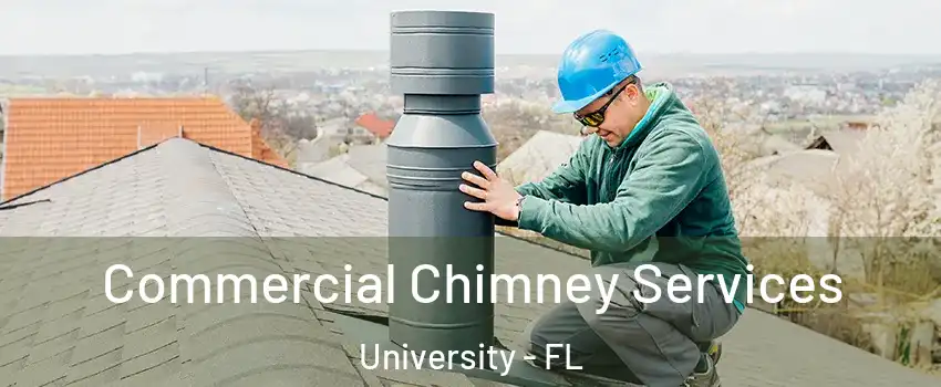  Commercial Chimney Services University - FL