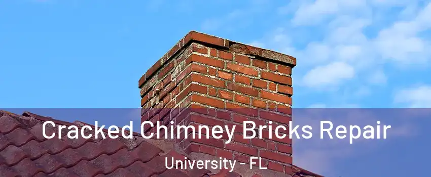  Cracked Chimney Bricks Repair University - FL