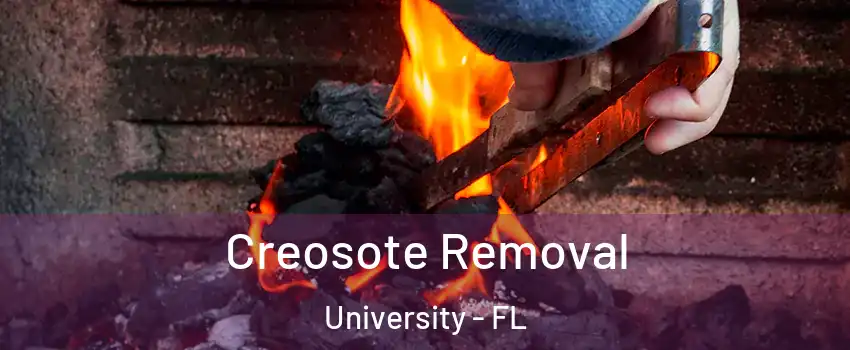  Creosote Removal University - FL