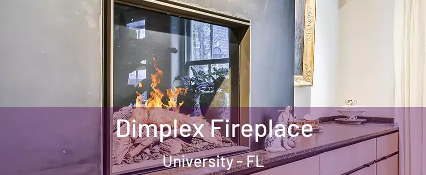 Dimplex Fireplace University - FL