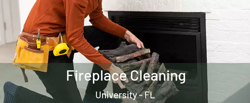  Fireplace Cleaning University - FL