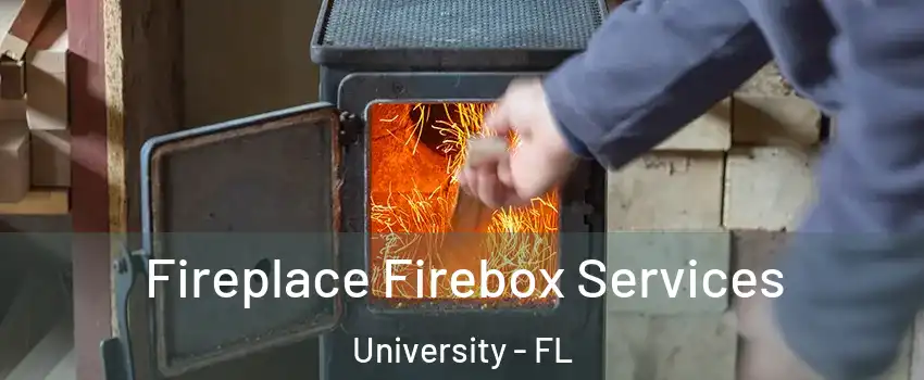  Fireplace Firebox Services University - FL