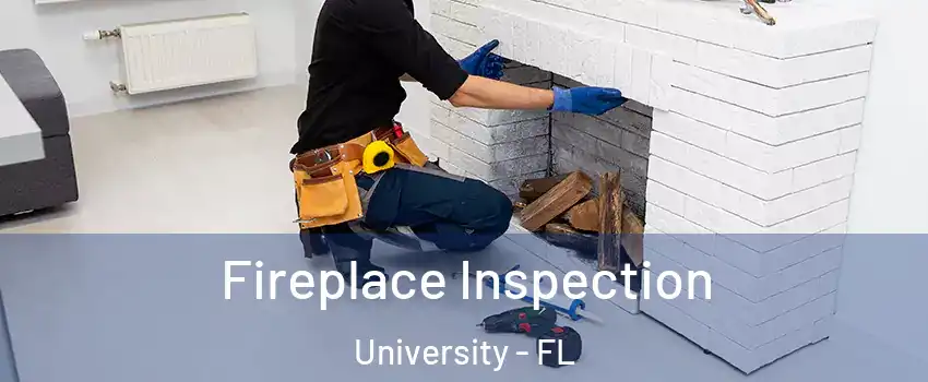  Fireplace Inspection University - FL