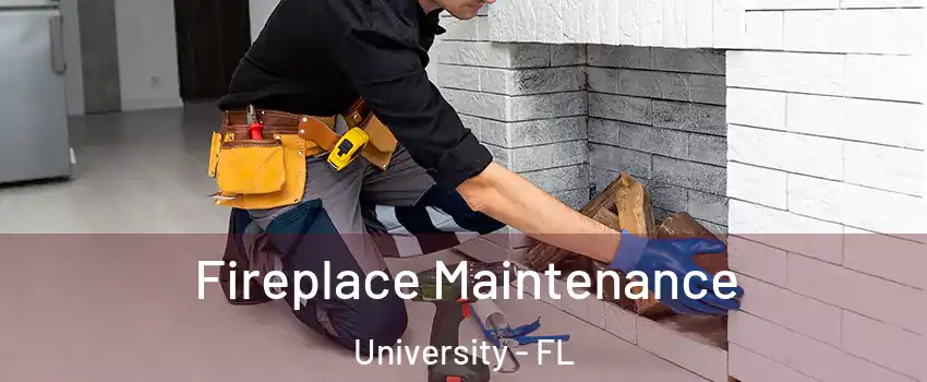  Fireplace Maintenance University - FL