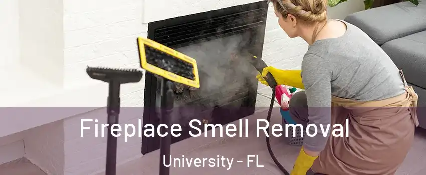  Fireplace Smell Removal University - FL