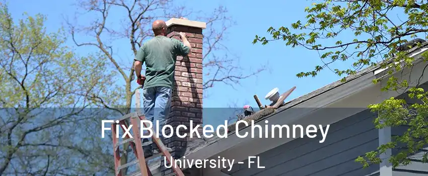  Fix Blocked Chimney University - FL