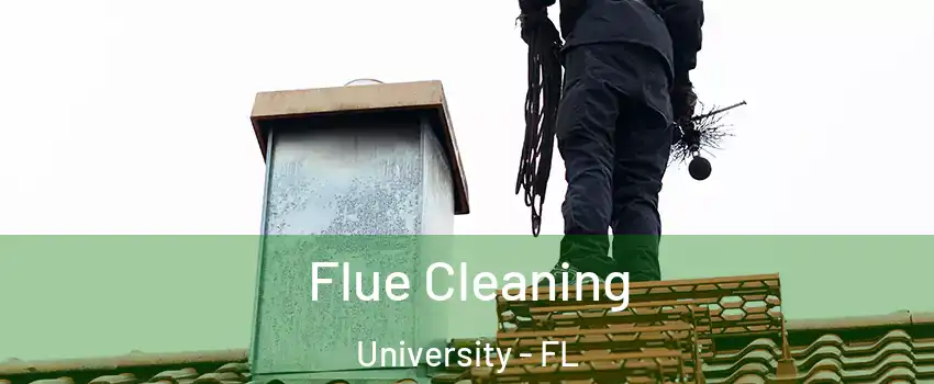  Flue Cleaning University - FL