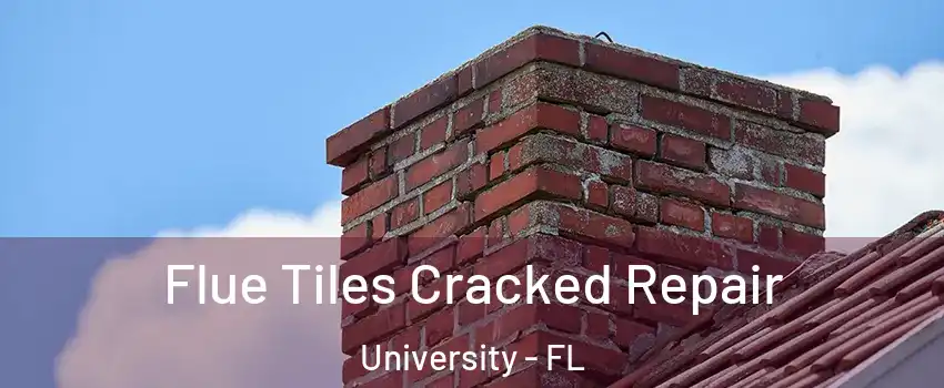  Flue Tiles Cracked Repair University - FL