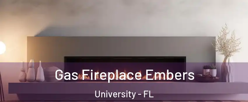  Gas Fireplace Embers University - FL