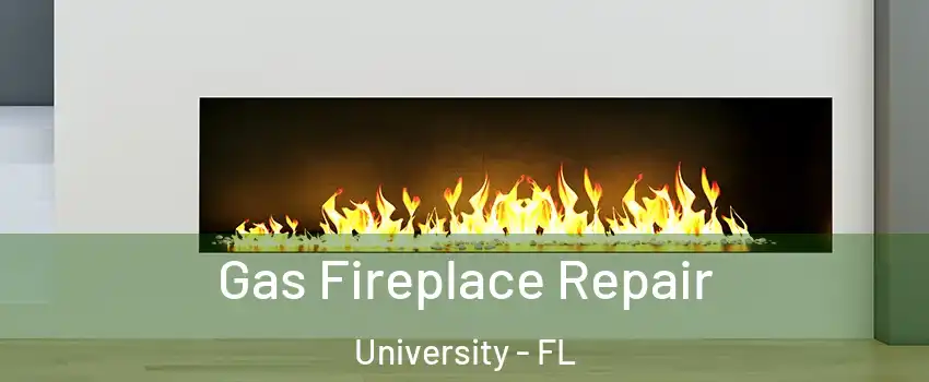  Gas Fireplace Repair University - FL