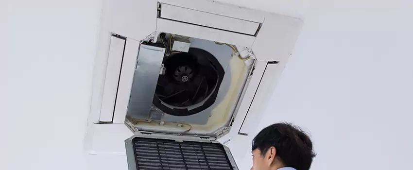 Benefits of Professional Air Duct Cleaning in University, Florida
