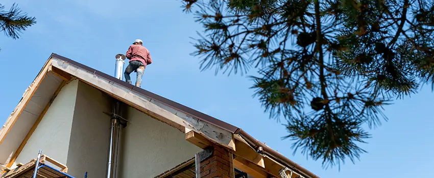 Birds Removal Contractors from Chimney in University, FL