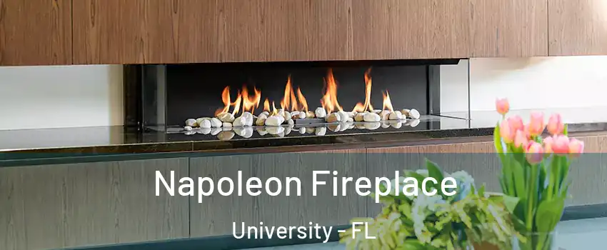  Napoleon Fireplace University - FL
