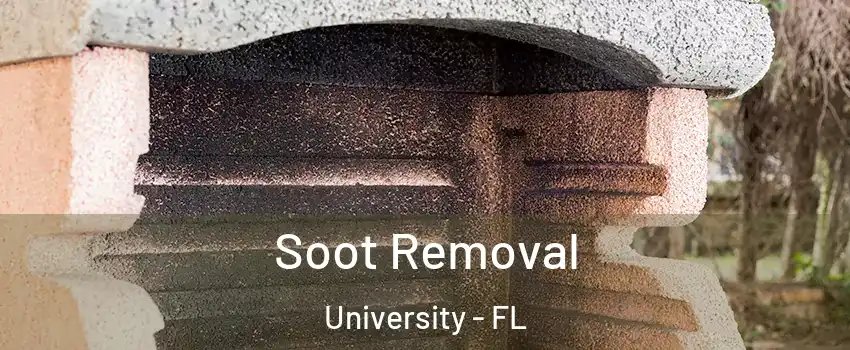  Soot Removal University - FL