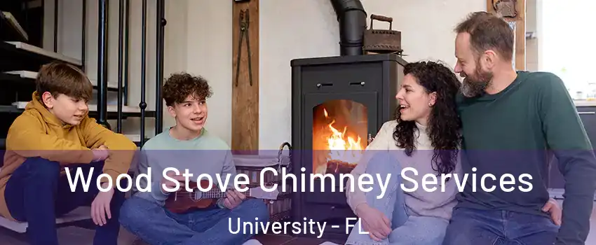  Wood Stove Chimney Services University - FL