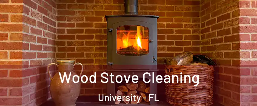  Wood Stove Cleaning University - FL